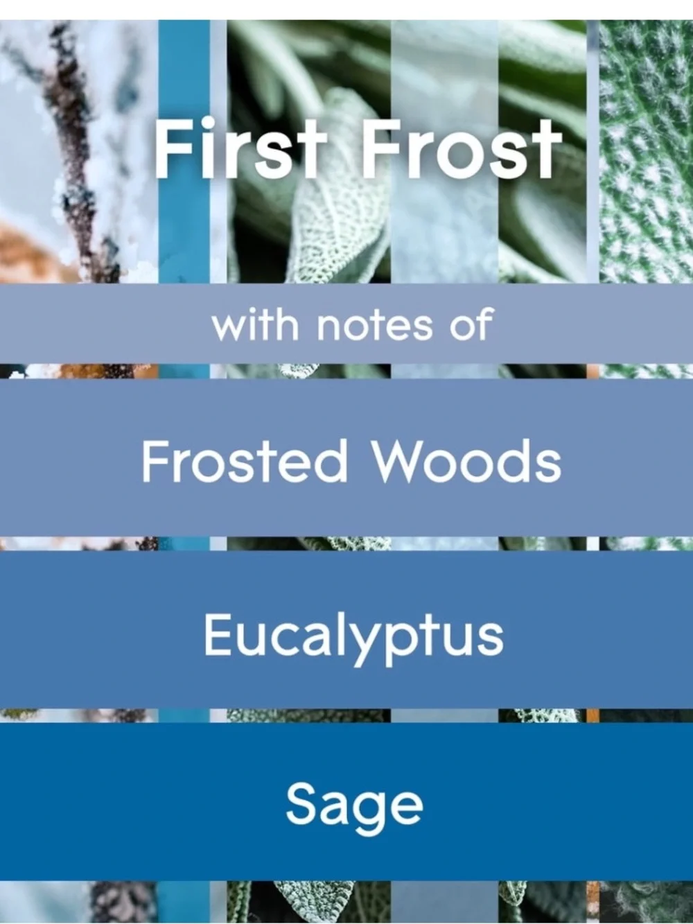 NEW- Glade PlugIns (First Frost/Sparkling Pear) 2 Pack Refills Air Freshener